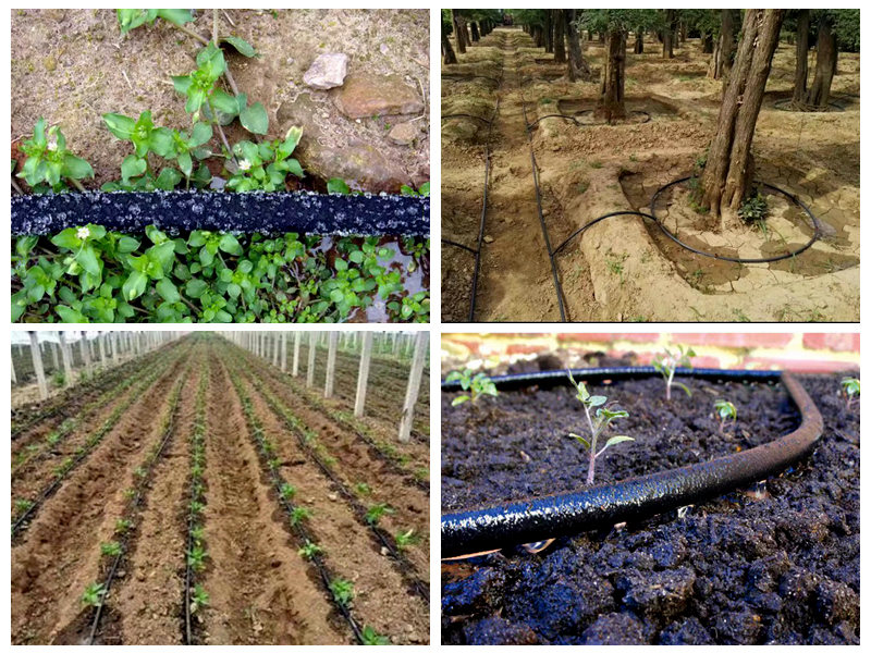 Comment le tuyau de trempage en caoutchouc est-il utilisé pour l'irrigation ?